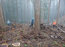 水源林対策事業
単層林整備　　間伐