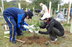 �K���㗬�����n������p�����㉺���𗬎��� �i�򕌌��K��쒬�j